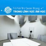 Tiêu Chuẩn ASTM Là Gì? Vai Trò Của Nó Trong Lĩnh Vực Âm Học